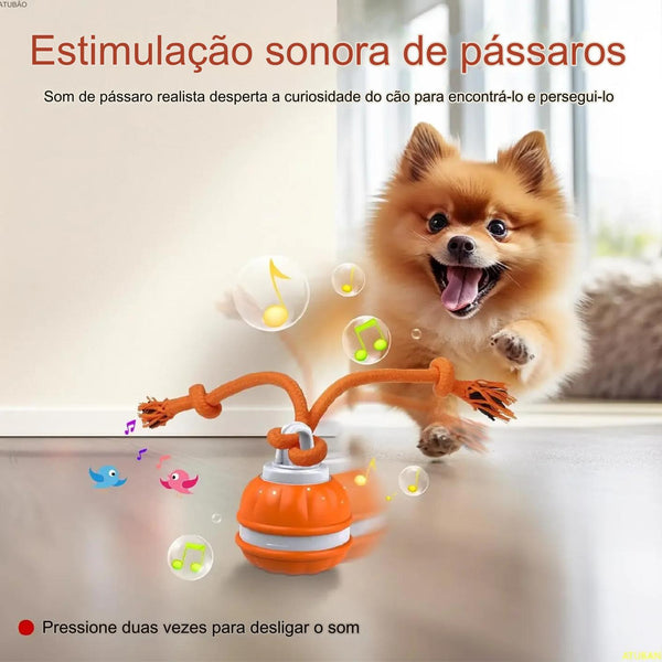 Bola Maluca para Cães - Diversão Infinita!