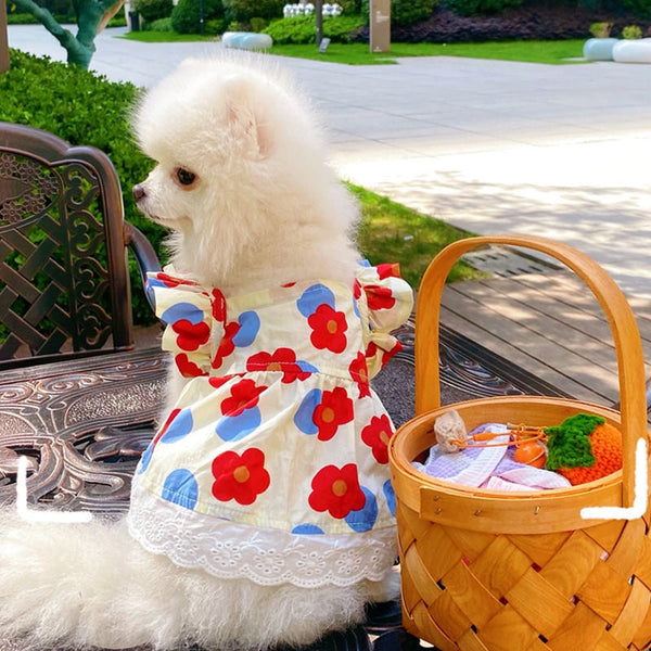 Vestido Pet Camponesa | Para Cachorro e Gato